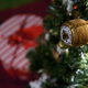 Illustration for article titled Shooting Challenge: Ornaments